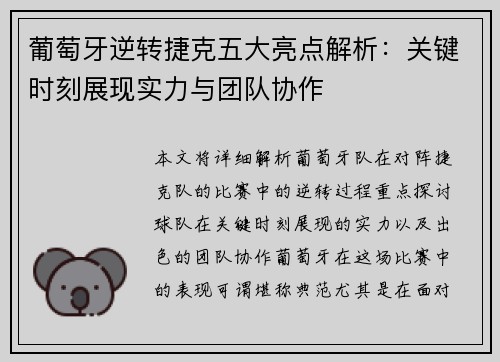 葡萄牙逆转捷克五大亮点解析：关键时刻展现实力与团队协作