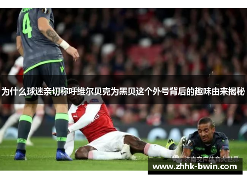 为什么球迷亲切称呼维尔贝克为黑贝这个外号背后的趣味由来揭秘 为什么球迷亲切称呼维尔贝克为黑贝这个外号背后的趣味由来揭秘